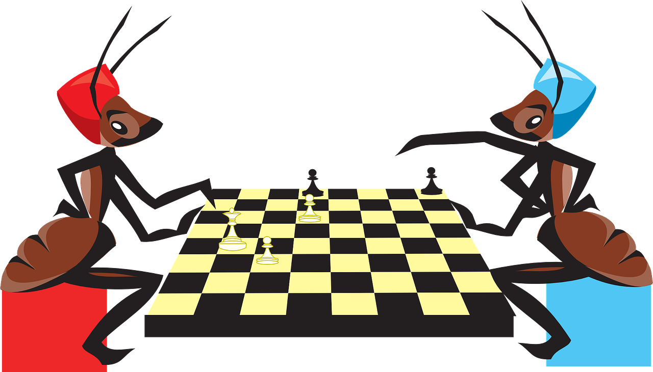 Foto dos hormigas jugando al ajedrez
